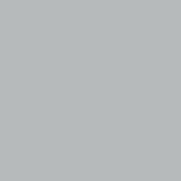 014 F1484 Steel.jpg