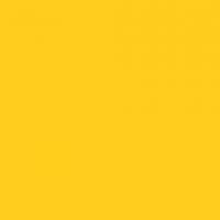 047 F7940 Spectrum Yellow.jpg