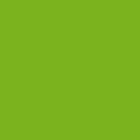 113 F6901 Vibrant Green.jpg