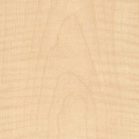 041 F1143 French Sycamore.jpg