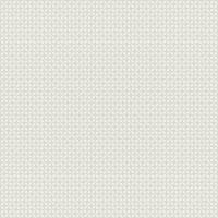 041 F5280 Dogbone Grey.jpg